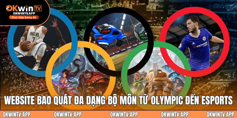 Website tin thể thao okwintv đa dạng bộ môn từ Olympic đến Esports
