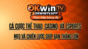 Cá cược thể thao, casino, và eSports: Mẹo và chiến lược giúp bạn thắng